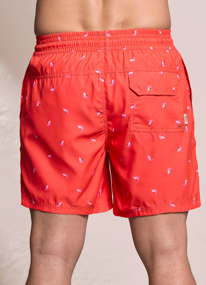  Maaji Tangerine Sailor Sporty Shorts