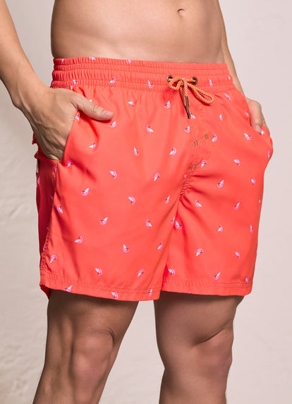 Thumbnail - Maaji Tangerine Sailor Sporty Shorts - 3